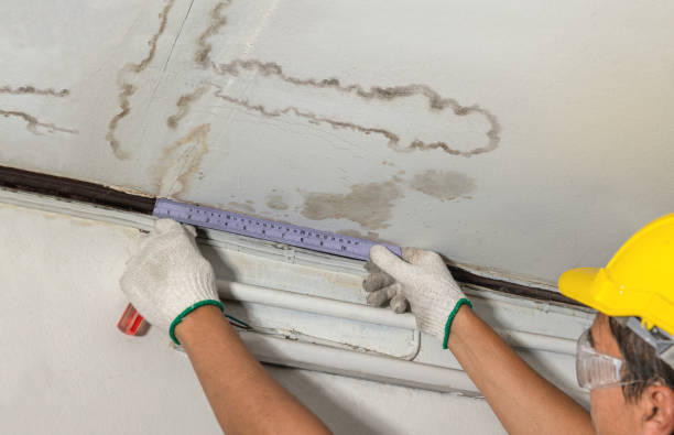 Reliable Water Damage contractor in Cashmere, WA by Water Damage Irwin